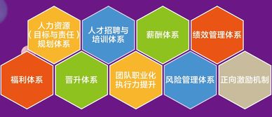 幼儿园完美团队打造模块咨询服务